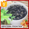 China Ningxia whole shape new harvest organic Black goji berry